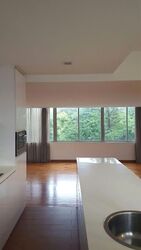 Nassim Regency (D10), Condominium #576834281